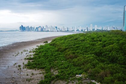 Panamá | Audubon