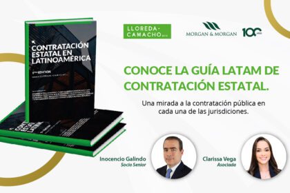 Guía De Contrataciones Gubernamentales En América Latina.