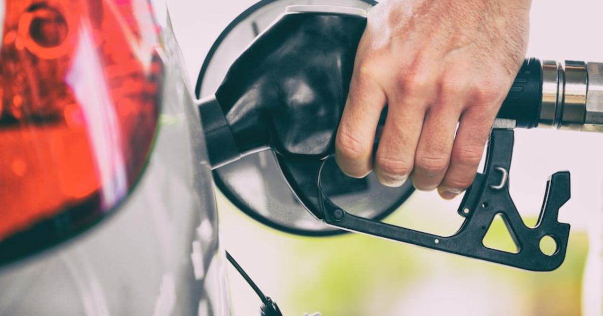 Cómo Han Cambiado Los Precios De La Gasolina En La