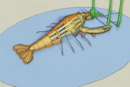 El Nuevo Parque Público Protegerá En El Riesgo De Panama