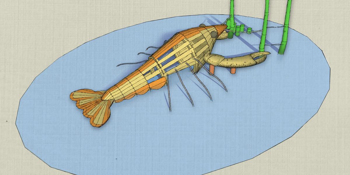 El Nuevo Parque Público Protegerá En El Riesgo De Panama