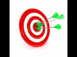 Francis Wade | Planificación Del Sector Público Inspirado | Negocio