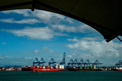 Trump, blackrock y un premio mayor de $ 23 mil